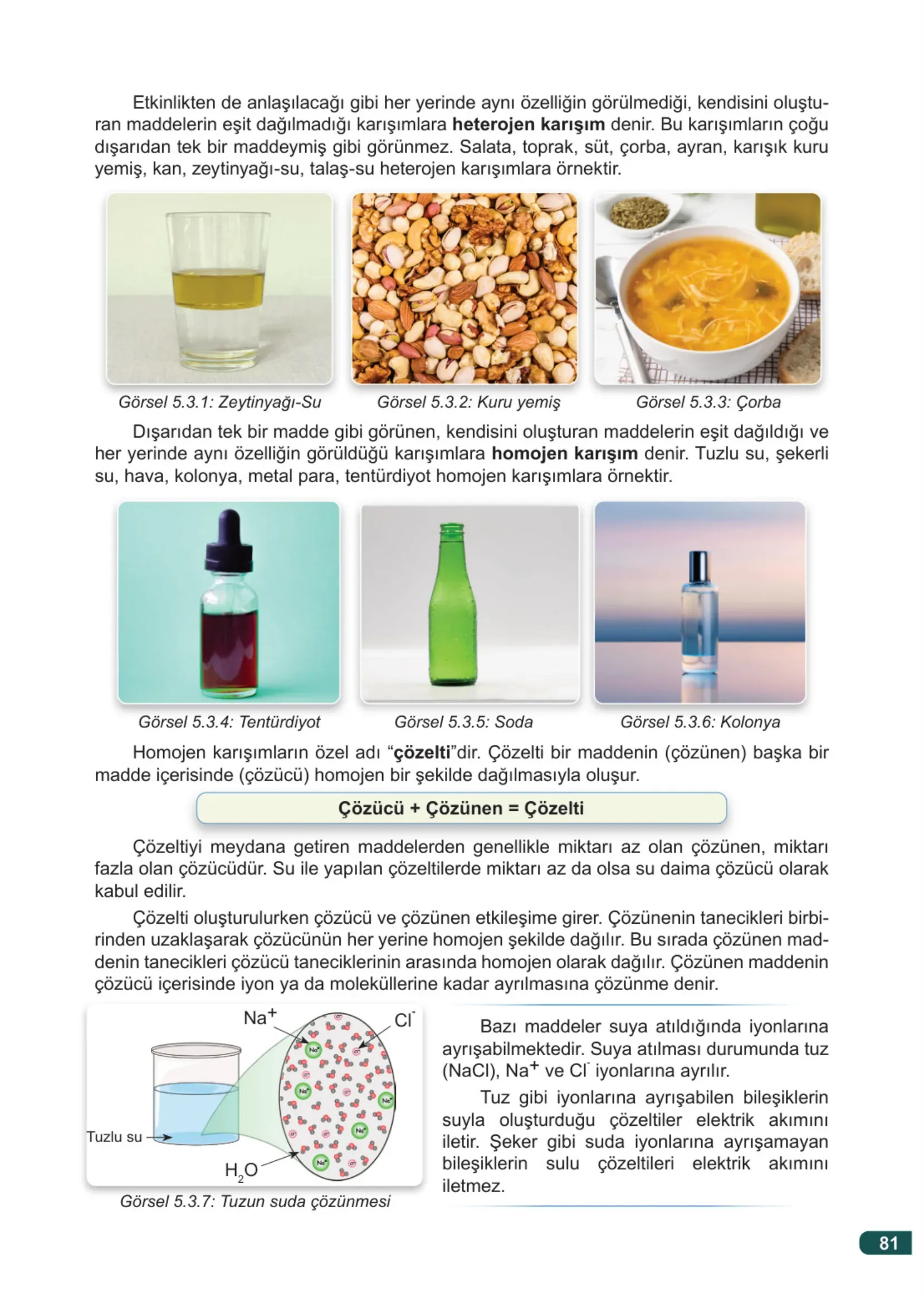 7. Sınıf Fen Bilimleri Ders Kitabı Cevapları Meb Yayınları 2. Kitap Sayfa 81