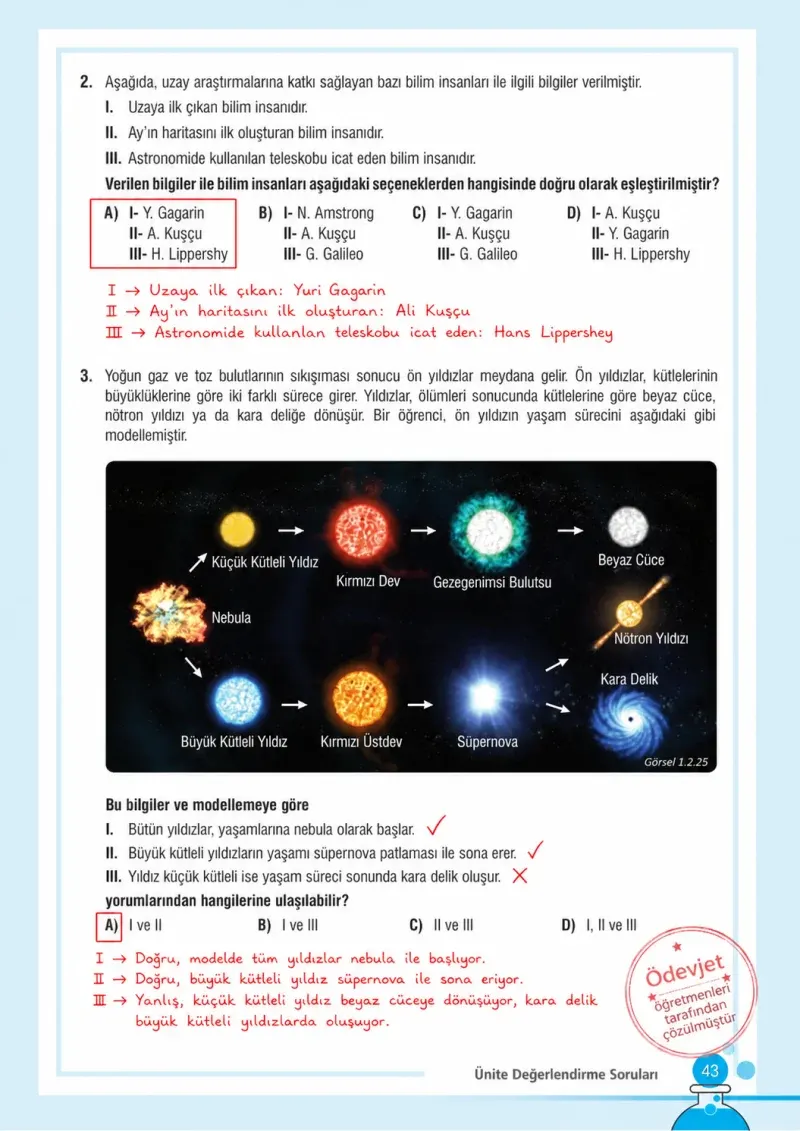 7. Sınıf Fen Bilimleri Ders Kitabı Cevapları Meb Yayınları Sayfa 43 Çözüm Görseli