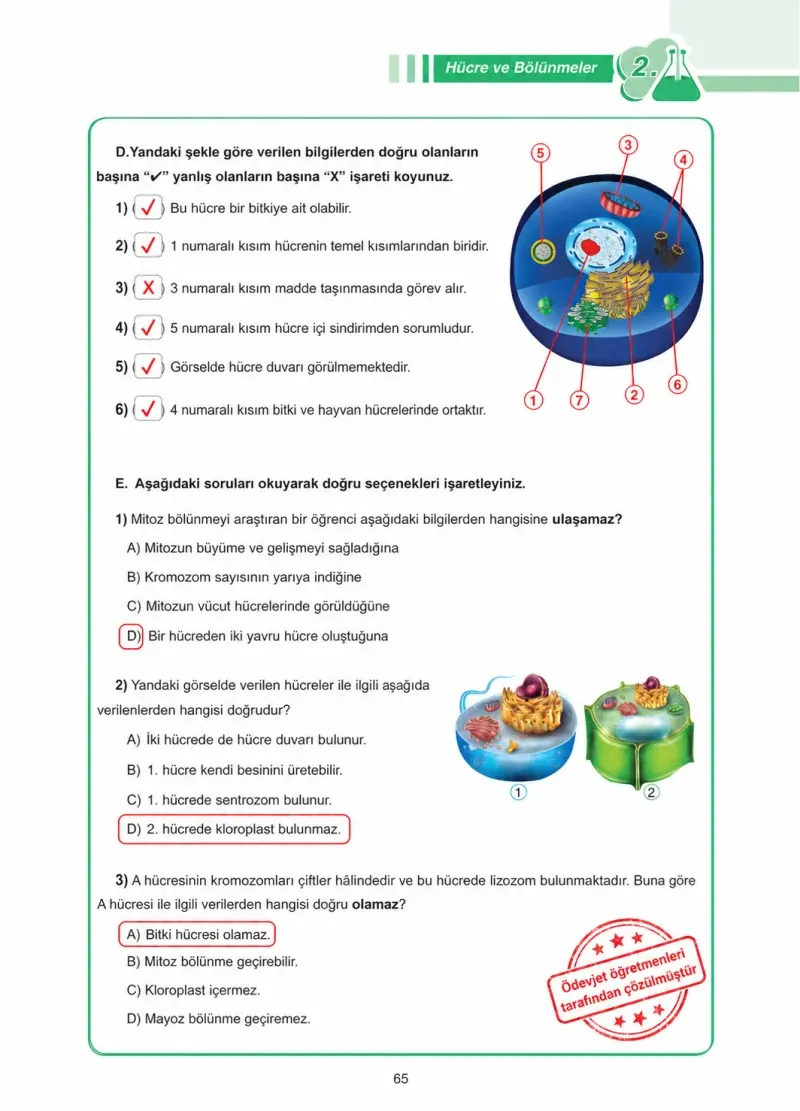7. Sınıf Fen Bilimleri Ders Kitabı Cevapları Tutku Yayınları Sayfa 65 Çözüm Görseli