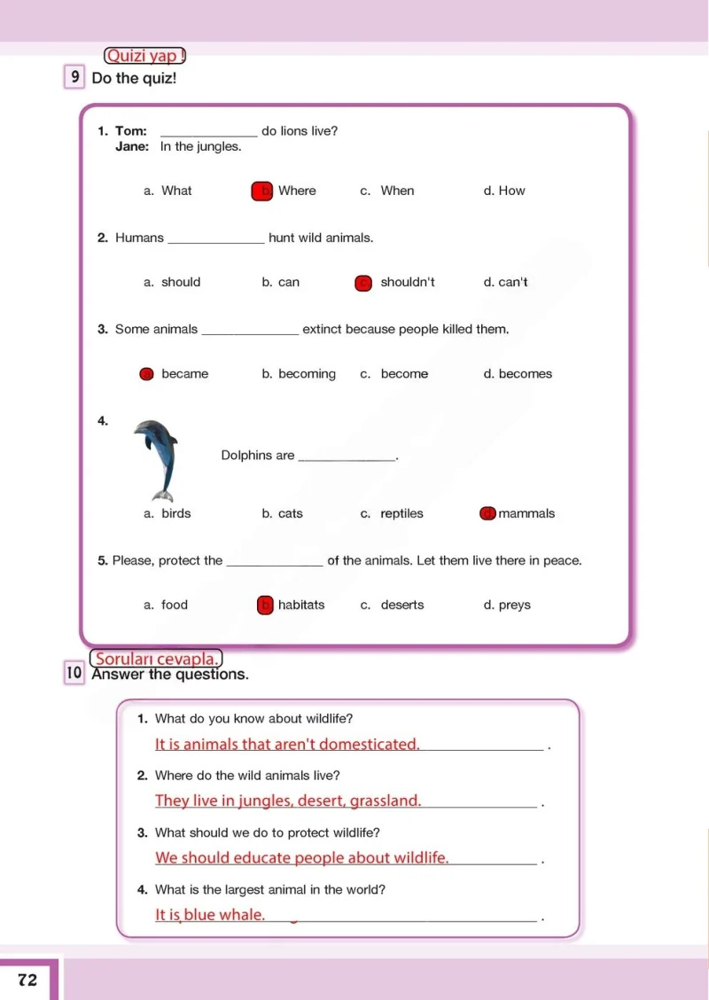 7. Sınıf İngilizce Ders Kitabı Cevapları Bilim ve Kültür Yayınları Sayfa 72 Çözüm Görseli