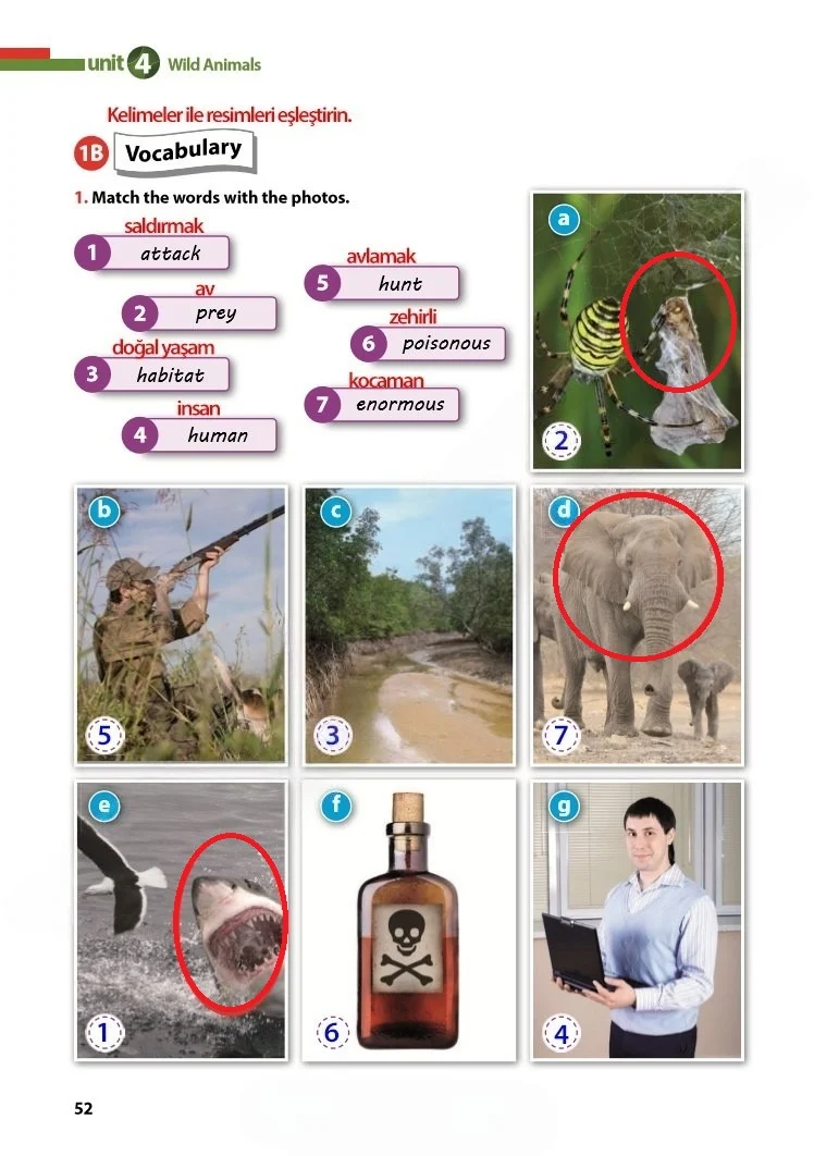 7. Sınıf İngilizce Ders Kitabı Cevapları Kök-e Yayınları Sayfa 52 Çözüm Görseli
