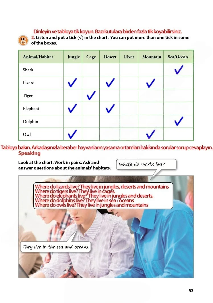 7. Sınıf İngilizce Ders Kitabı Cevapları Kök-e Yayınları Sayfa 53 Çözüm Görseli
