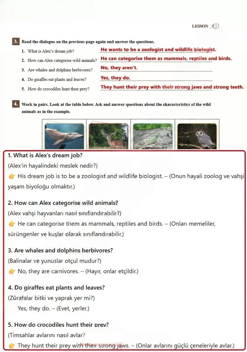 7. Sınıf İngilizce Ders Kitabı Cevapları SDR İpekyolu Yayınları Sayfa 63 Çözüm Görseli