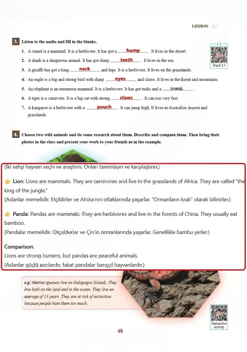7. Sınıf İngilizce Ders Kitabı Cevapları SDR İpekyolu Yayınları Sayfa 65 Çözüm Görseli