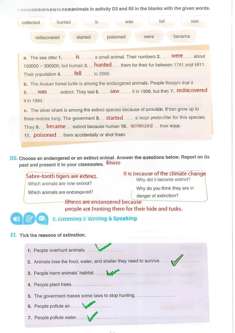 7. Sınıf İngilizce Ders Kitabı Cevapları Yıldırım Yayınları Sayfa 53 Çözüm Görseli