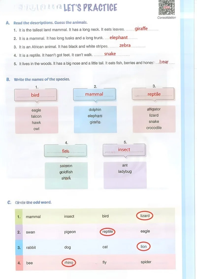 7. Sınıf İngilizce Ders Kitabı Cevapları Yıldırım Yayınları Sayfa 55 Çözüm Görseli