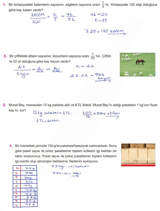 7. Sınıf Matematik Ders Kitabı Cevapları Berkay Yayınları Sayfa 110 Çözüm Görseli