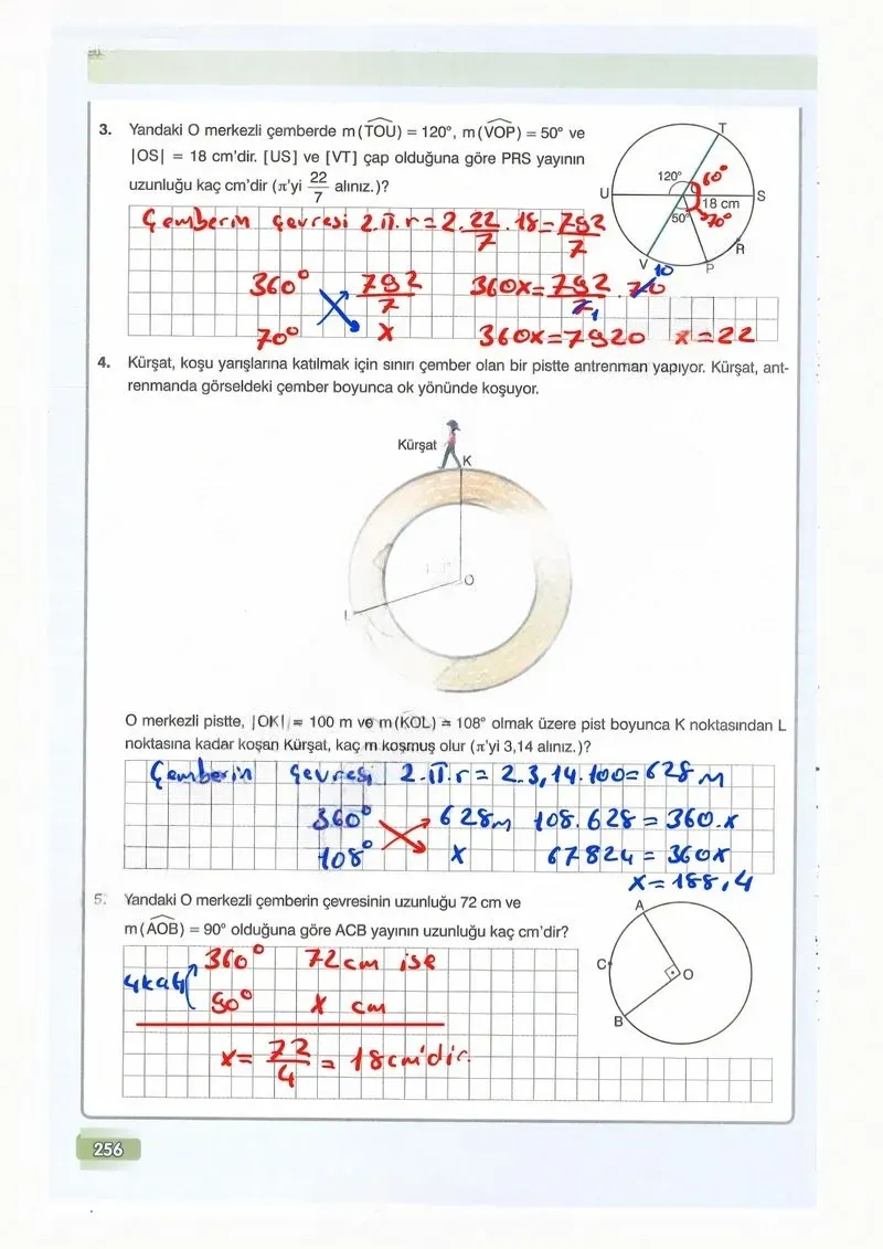 7. Sınıf Matematik Ders Kitabı Cevapları Edat Yayınları Sayfa 256 Çözüm Görseli