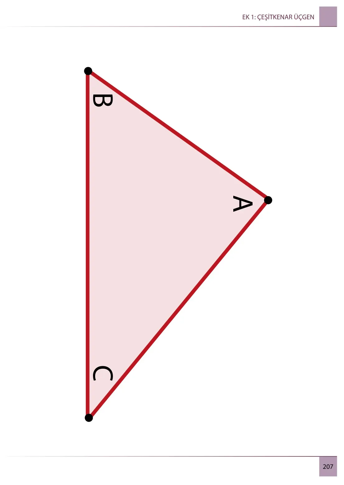 7. Sınıf Matematik Ders Kitabı Cevapları Meb Yayınları 2. Kitap Sayfa 207