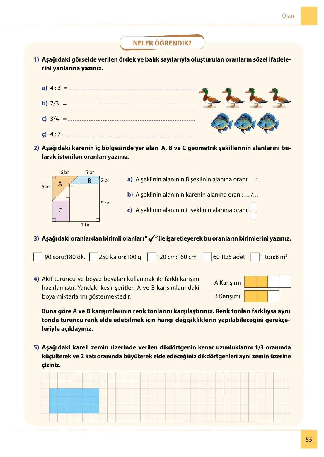 7. Sınıf Matematik Ders Kitabı Cevapları Meb Yayınları 2. Kitap Sayfa 55