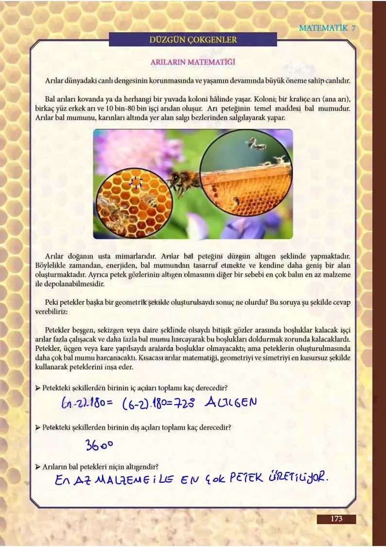 7. Sınıf Matematik Ders Kitabı Cevapları Meb Yayınları Sayfa 173 Çözüm Görseli