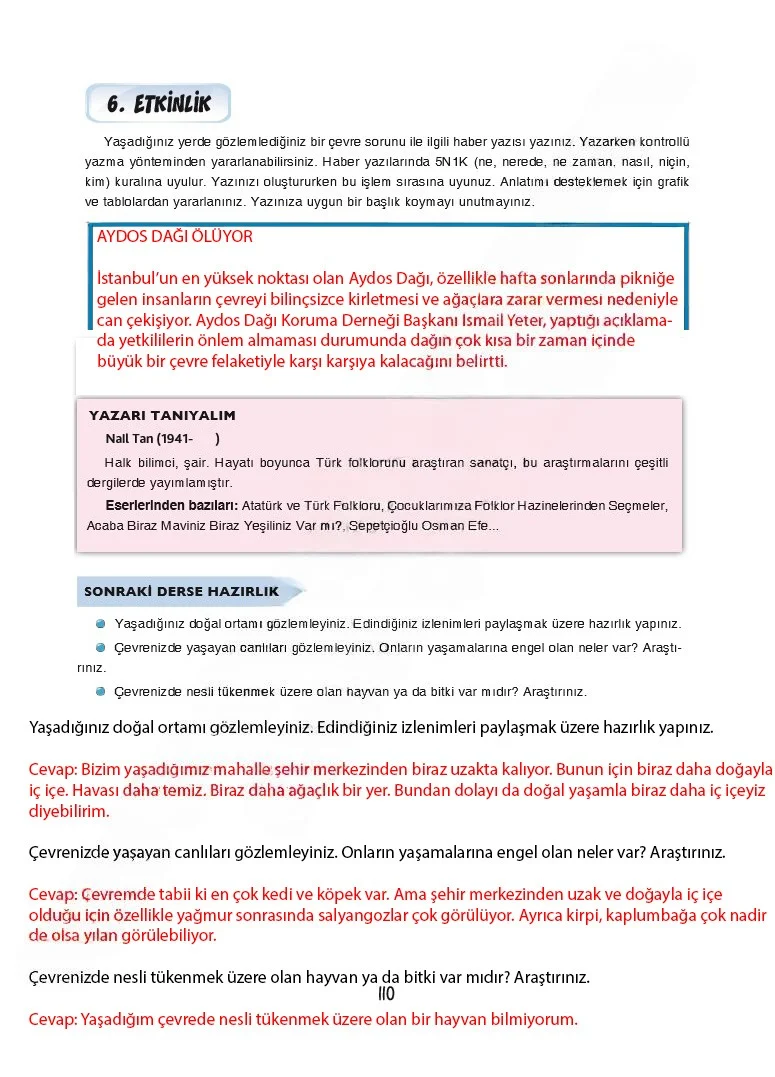 7. Sınıf Türkçe Ders Kitabı Cevapları Dörtel Yayınları Sayfa 110 Çözüm Görseli