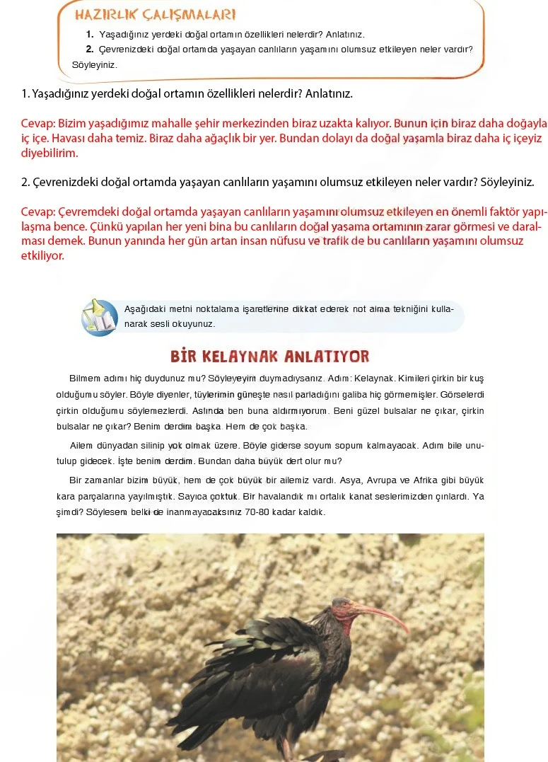 7. Sınıf Türkçe Ders Kitabı Cevapları Dörtel Yayınları Sayfa 111 Çözüm Görseli