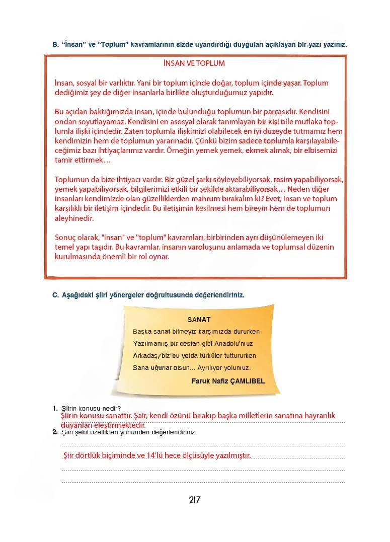 7. Sınıf Türkçe Ders Kitabı Cevapları Dörtel Yayınları Sayfa 217 Çözüm Görseli