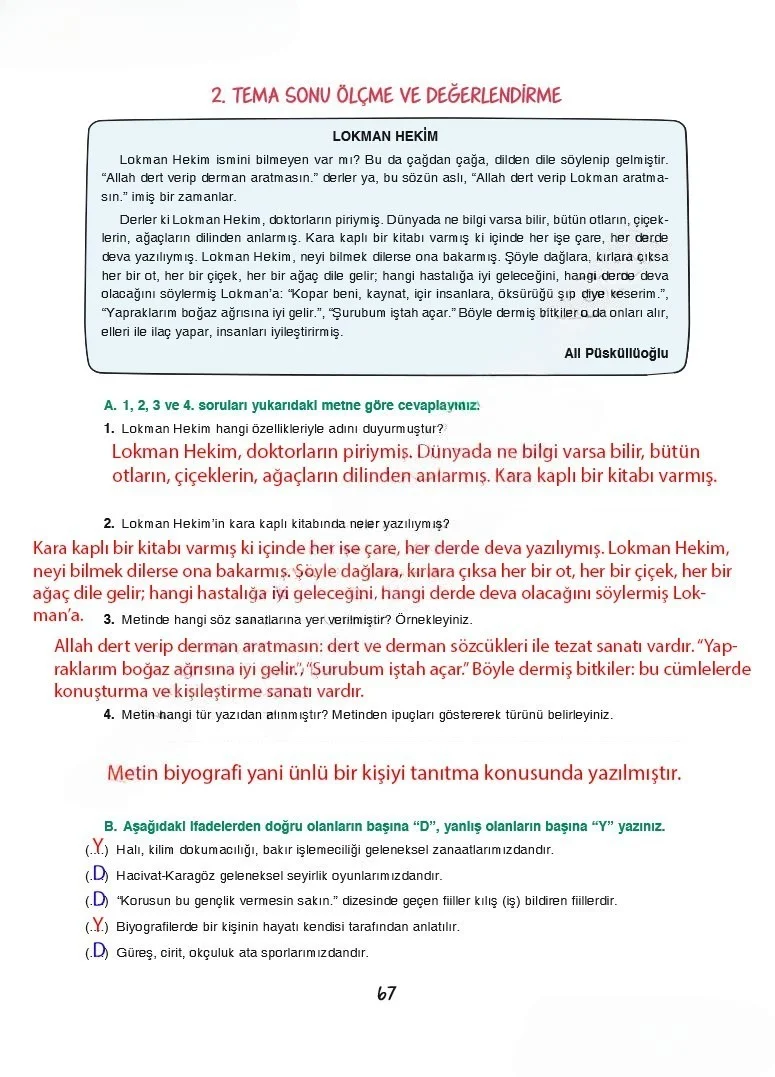 7. Sınıf Türkçe Ders Kitabı Cevapları Dörtel Yayınları Sayfa 67 Çözüm Görseli