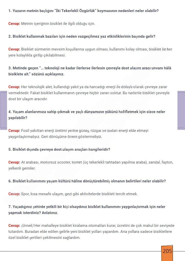 7. Sınıf Türkçe Ders Kitabı Cevapları Meb Yayınları 1. Kitap Sayfa 205 Çözüm Görseli