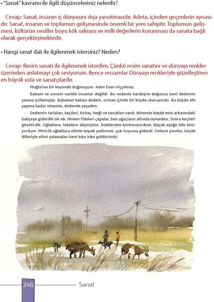 7. Sınıf Türkçe Ders Kitabı Cevapları Meb Yayınları 1. Kitap Sayfa 246 Çözüm Görseli