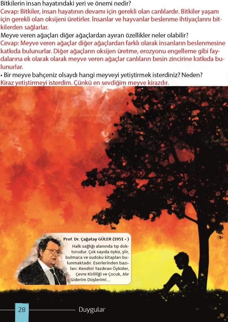 7. Sınıf Türkçe Ders Kitabı Cevapları Meb Yayınları 1. Kitap Sayfa 28 Çözüm Görseli