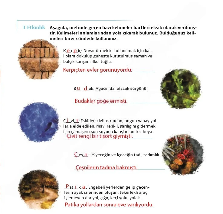 7. Sınıf Türkçe Ders Kitabı Cevapları Meb Yayınları 1. Kitap Sayfa 29 Çözüm Görseli