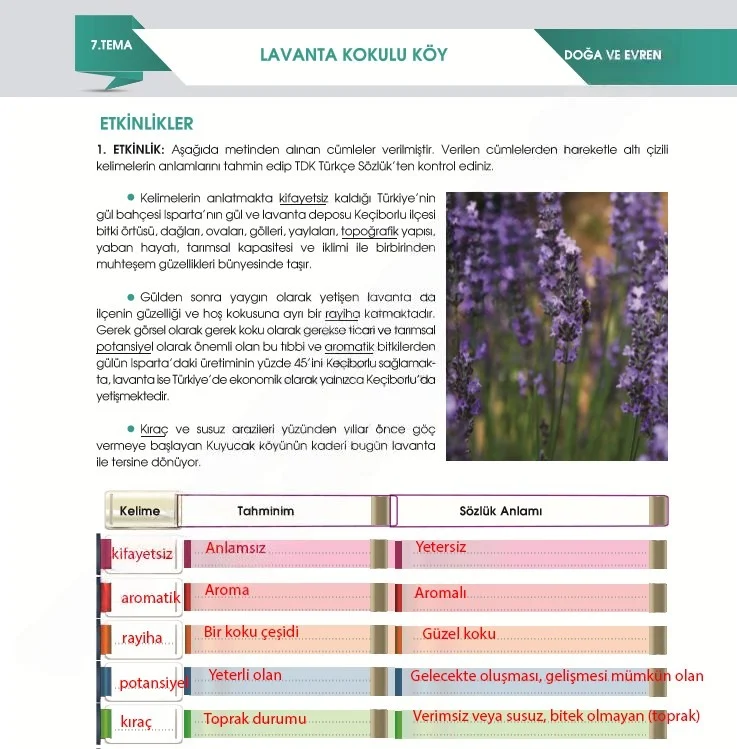 7. Sınıf Türkçe Ders Kitabı Cevapları Meb Yayınları 2. Kitap Sayfa 210 Çözüm Görseli