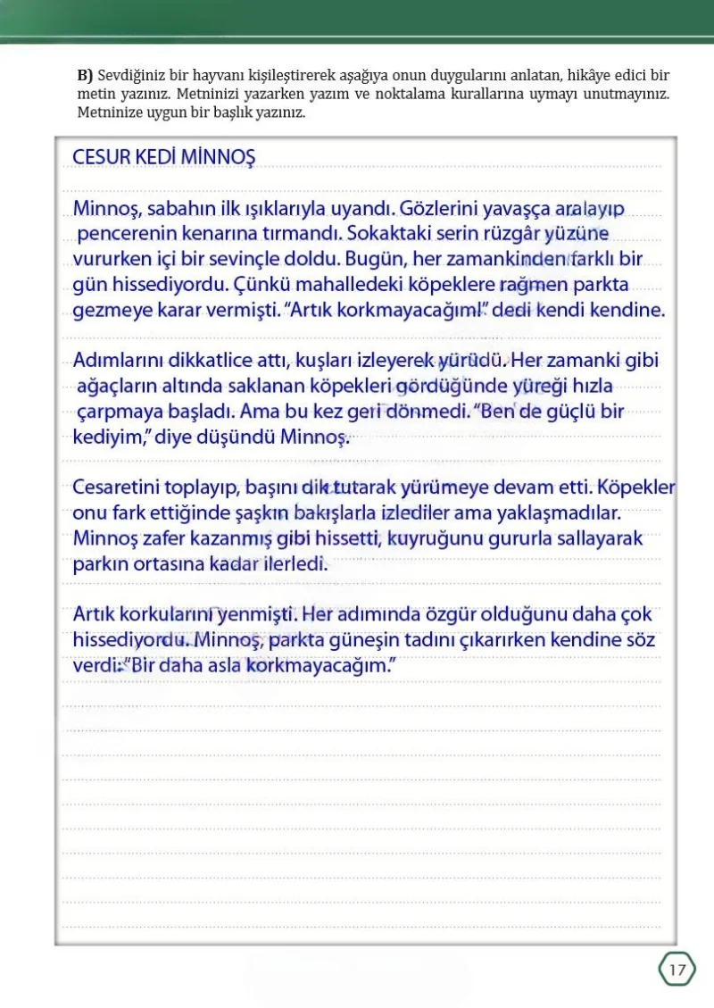 7. Sınıf Türkçe Ders Kitabı Cevapları Meb Yayınları Sayfa 17 Çözüm Görseli