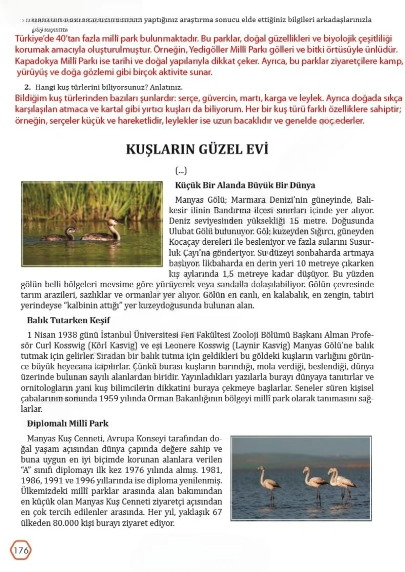 7. Sınıf Türkçe Ders Kitabı Cevapları Meb Yayınları Sayfa 176 Çözüm Görseli