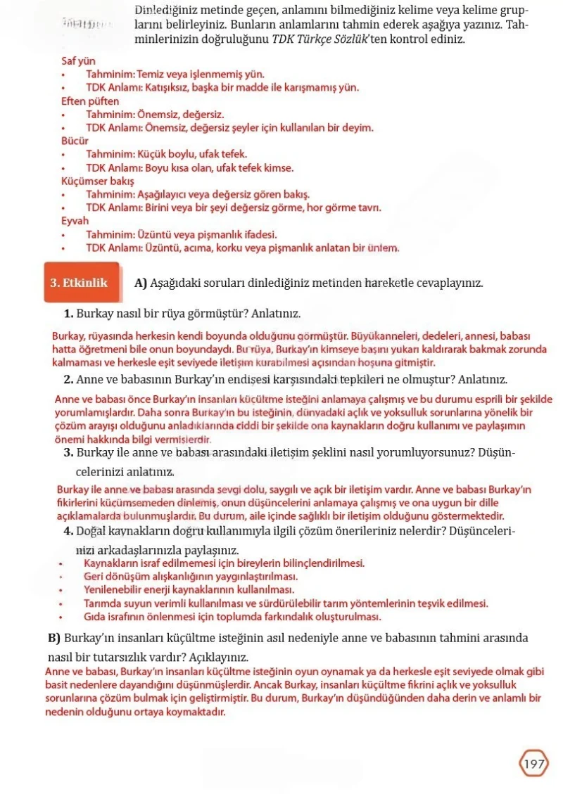 7. Sınıf Türkçe Ders Kitabı Cevapları Meb Yayınları Sayfa 197 Çözüm Görseli