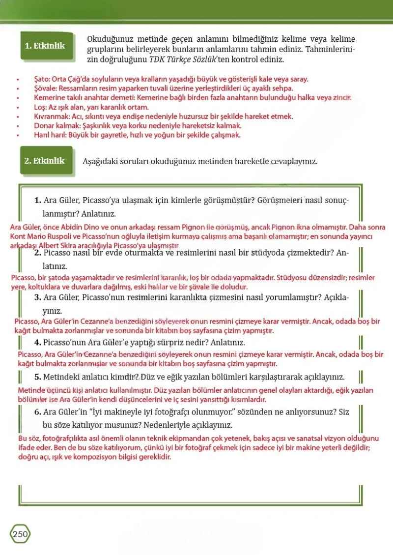 7. Sınıf Türkçe Ders Kitabı Cevapları Meb Yayınları Sayfa 250 Çözüm Görseli