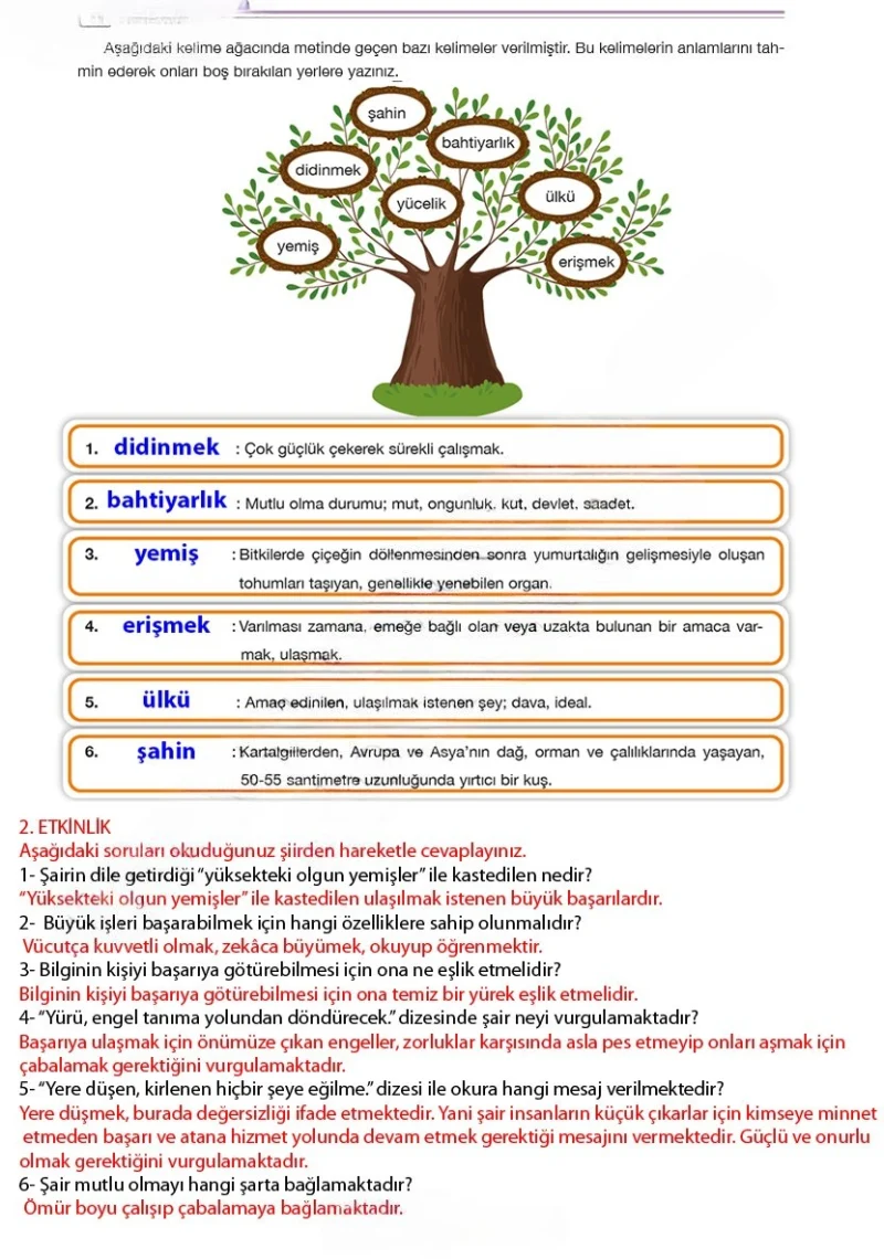 7. Sınıf Türkçe Ders Kitabı Cevapları Özgün Yayınları Sayfa 155 Çözüm Görseli