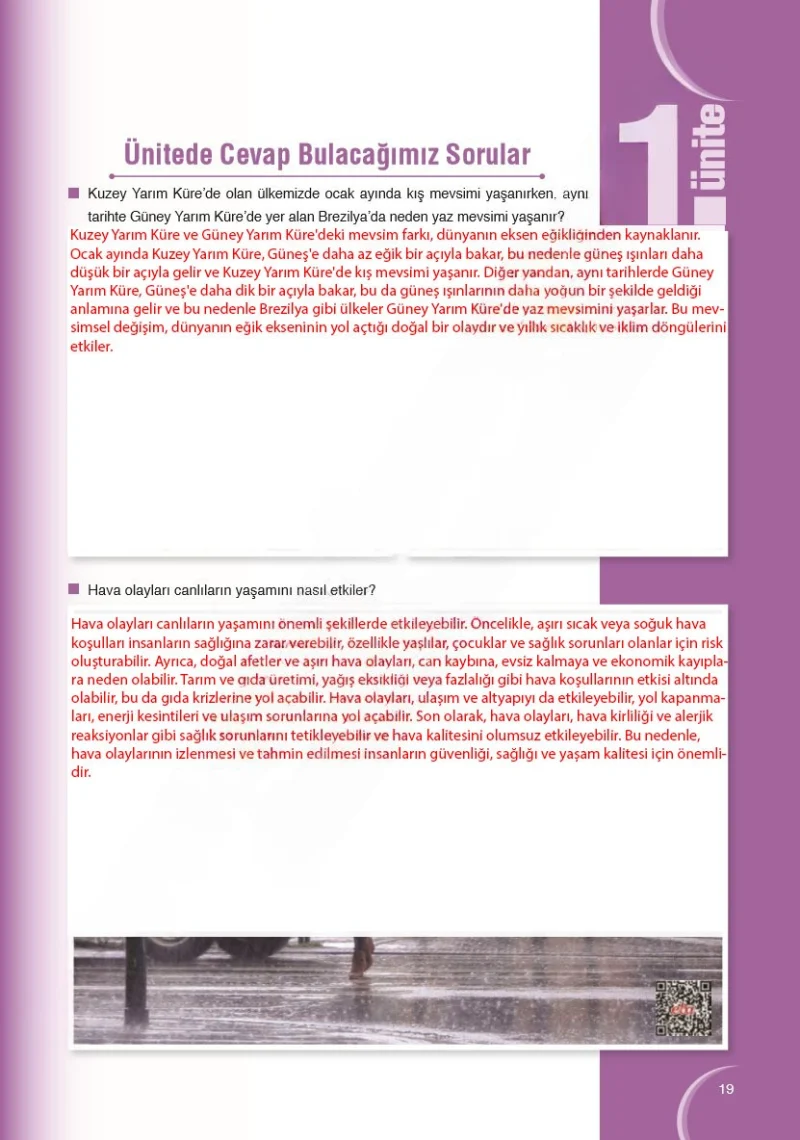 8. Sınıf Fen Bilimleri Ders Kitabı Cevapları Ata Yayınları Sayfa 19 Çözüm Görseli