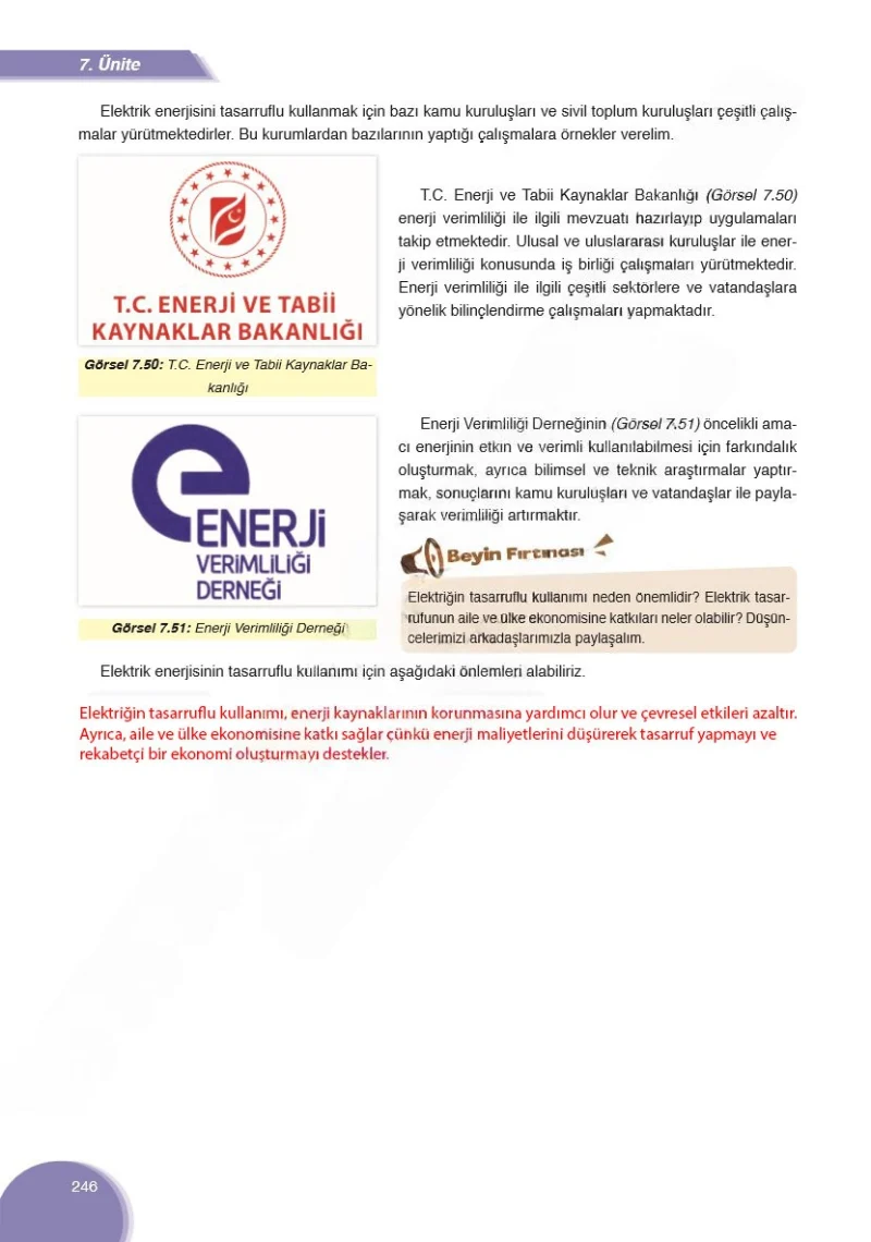 8. Sınıf Fen Bilimleri Ders Kitabı Cevapları Ata Yayınları Sayfa 246 Çözüm Görseli
