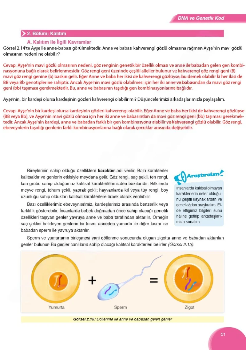 8. Sınıf Fen Bilimleri Ders Kitabı Cevapları Ata Yayınları Sayfa 51 Çözüm Görseli