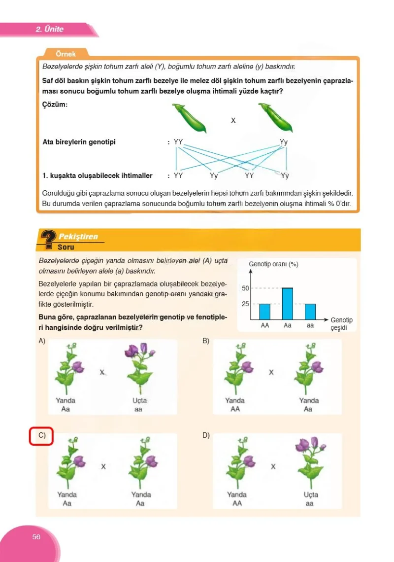 8. Sınıf Fen Bilimleri Ders Kitabı Cevapları Ata Yayınları Sayfa 56 Çözüm Görseli
