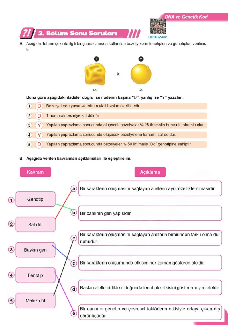 8. Sınıf Fen Bilimleri Ders Kitabı Cevapları Ata Yayınları Sayfa 59 Çözüm Görseli
