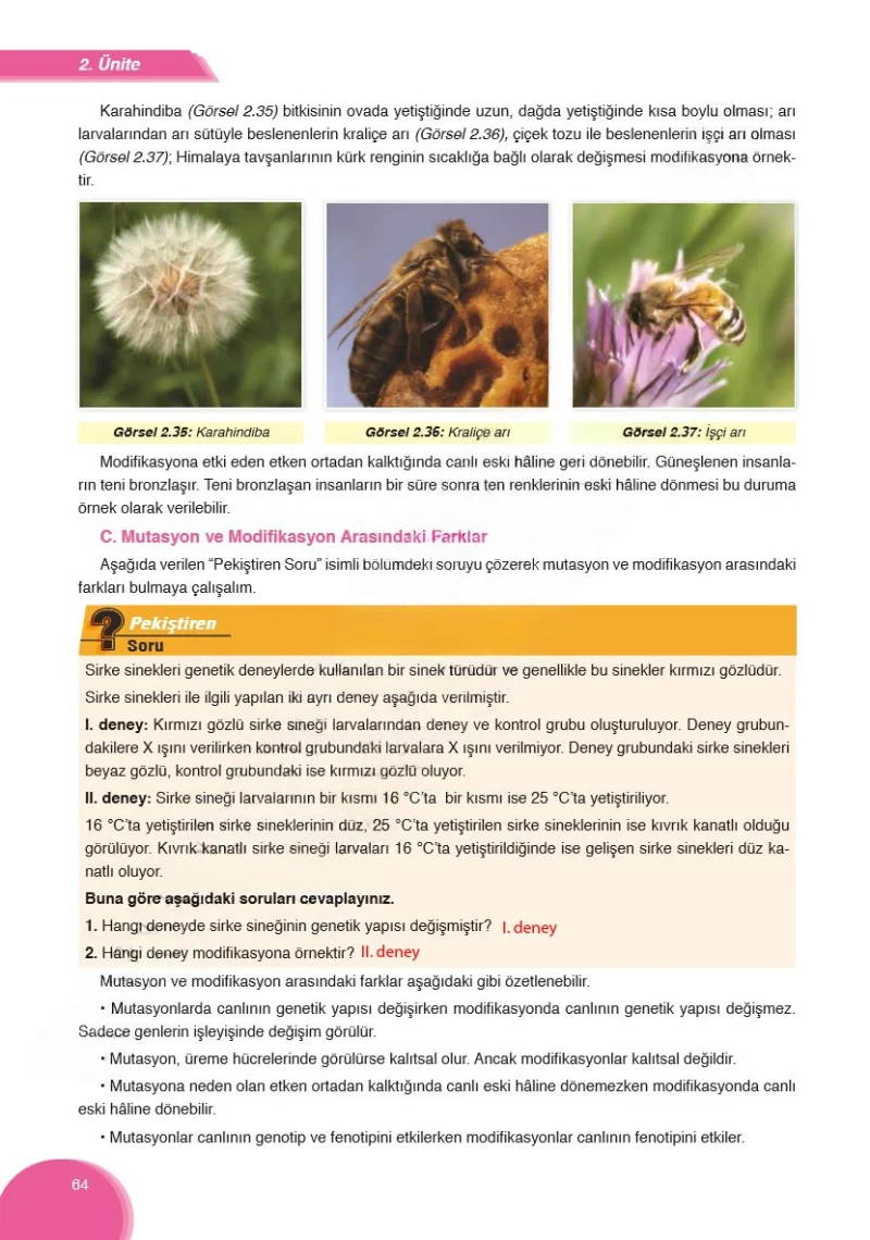 8. Sınıf Fen Bilimleri Ders Kitabı Cevapları Ata Yayınları Sayfa 64 Çözüm Görseli