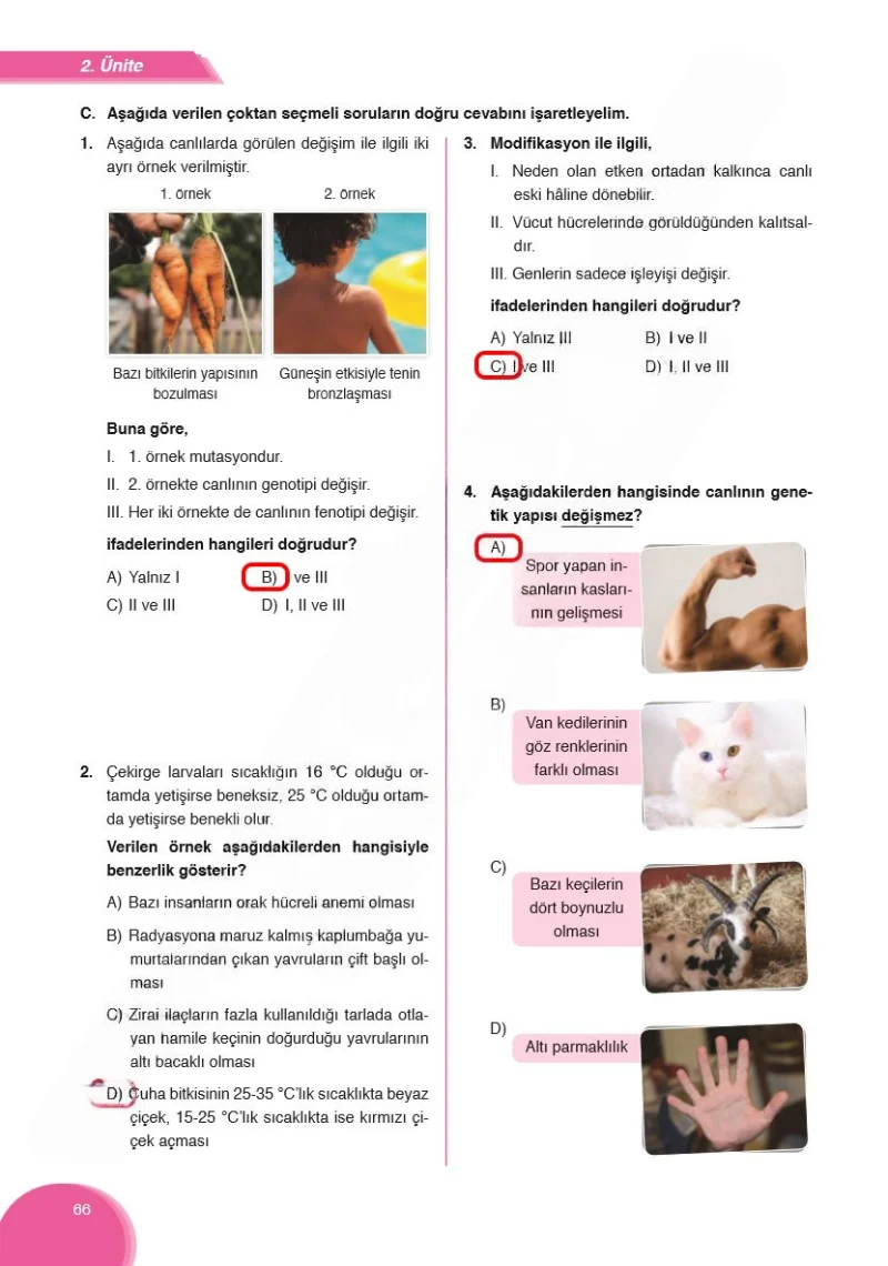 8. Sınıf Fen Bilimleri Ders Kitabı Cevapları Ata Yayınları Sayfa 66 Çözüm Görseli