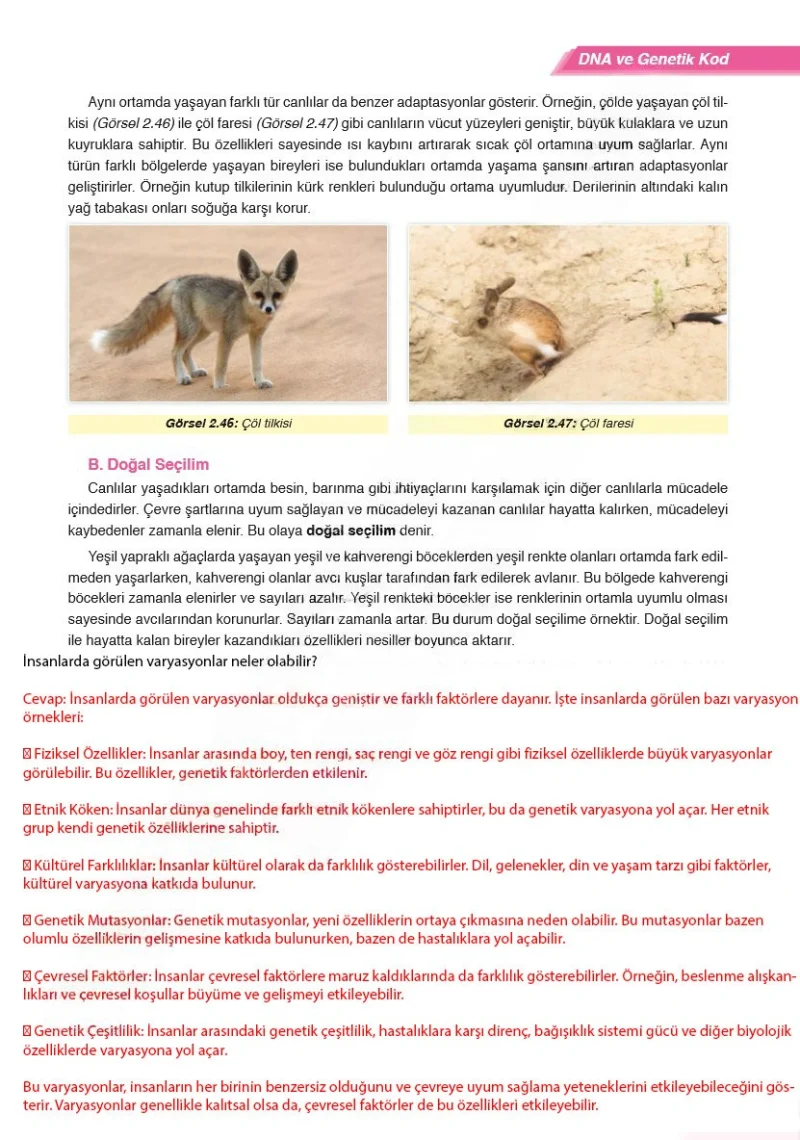 8. Sınıf Fen Bilimleri Ders Kitabı Cevapları Ata Yayınları Sayfa 69 Çözüm Görseli
