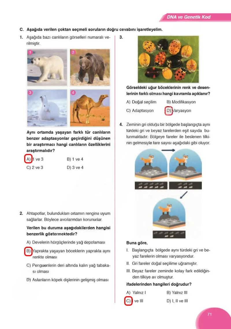 8. Sınıf Fen Bilimleri Ders Kitabı Cevapları Ata Yayınları Sayfa 71 Çözüm Görseli