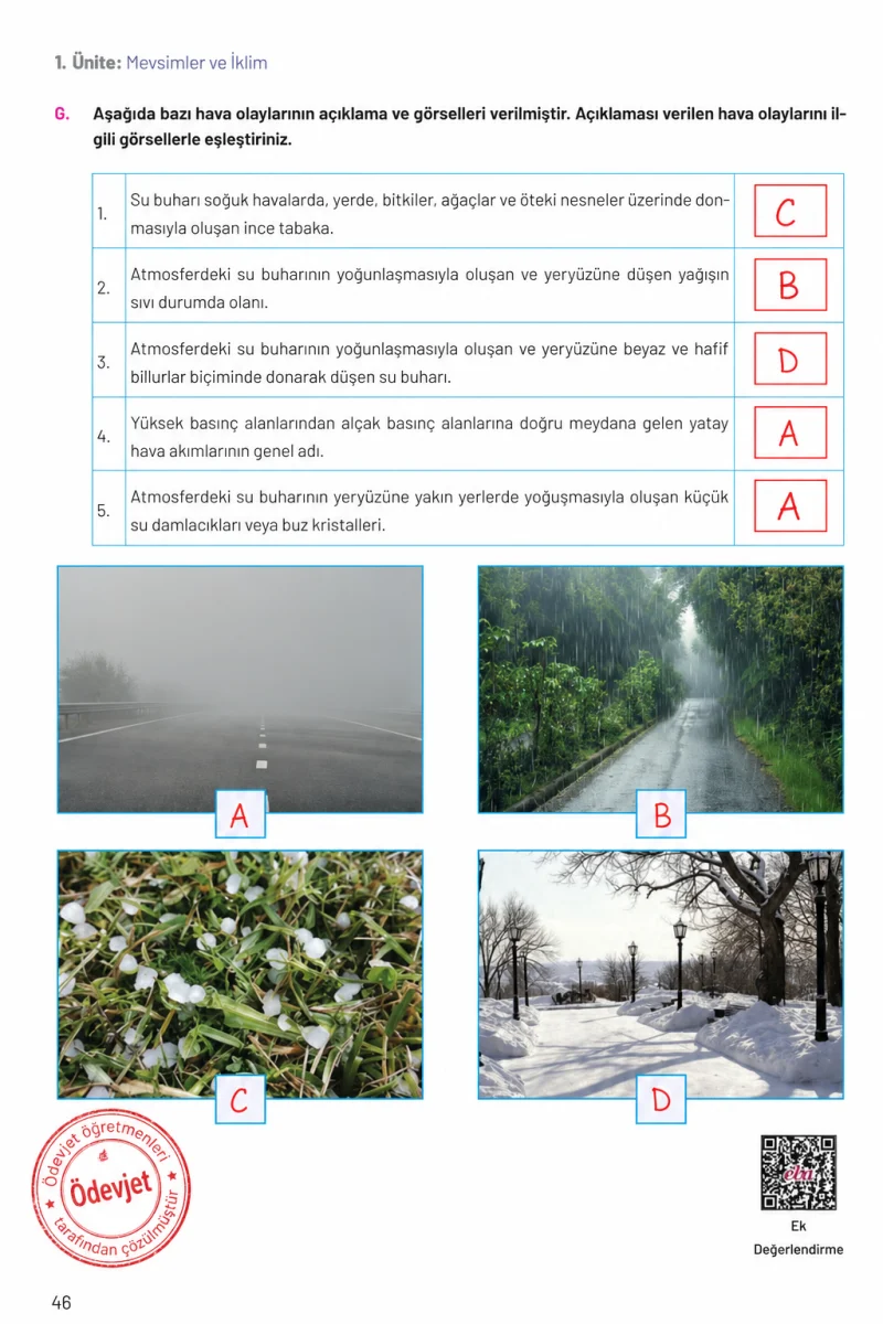 8. Sınıf Fen Bilimleri Ders Kitabı Cevapları Hecce Yayınları Sayfa 46 Çözüm Görseli