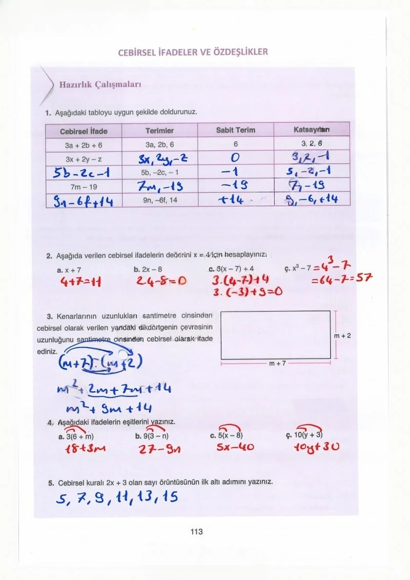8. Sınıf Matematik Ders Kitabı Cevapları Ada Yayınları Sayfa 113 Çözüm Görseli