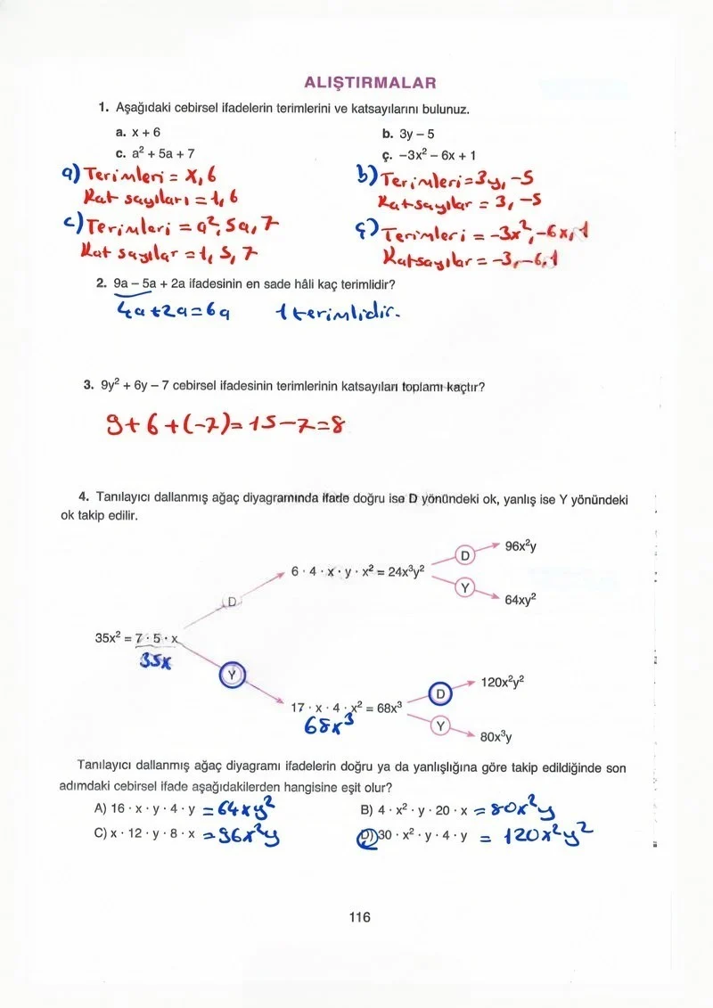 8. Sınıf Matematik Ders Kitabı Cevapları Ada Yayınları Sayfa 116 Çözüm Görseli