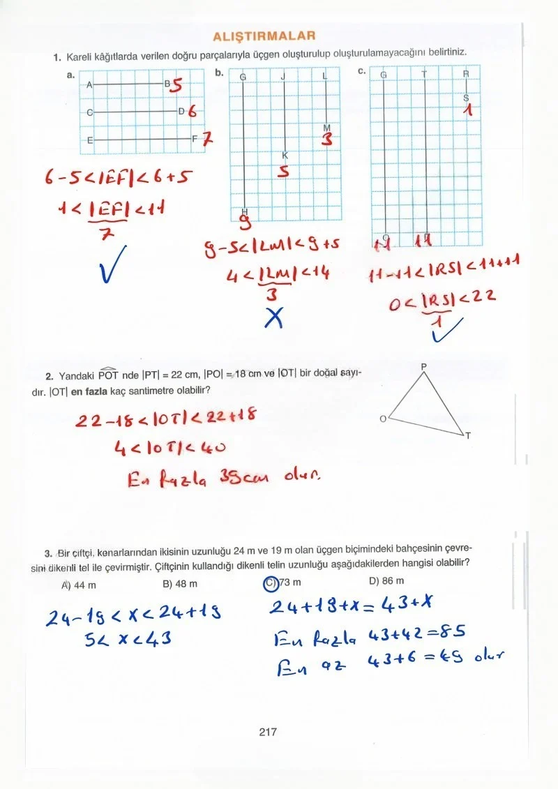 8. Sınıf Matematik Ders Kitabı Cevapları Ada Yayınları Sayfa 217 Çözüm Görseli