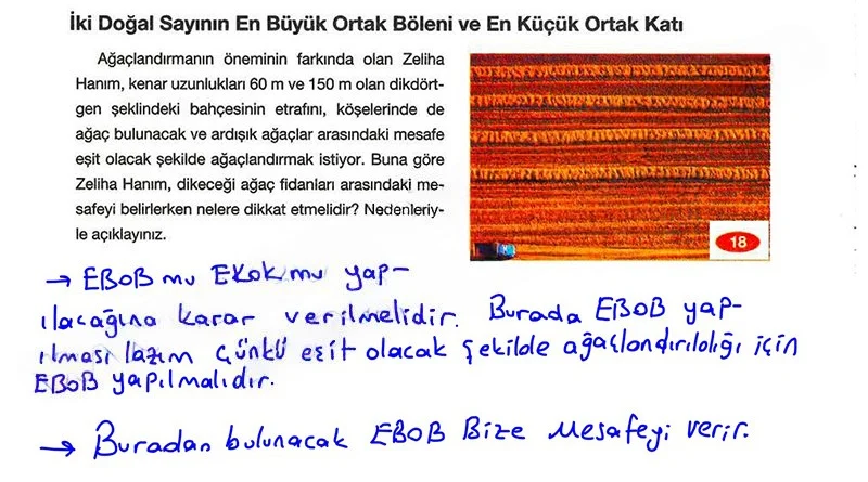 8. Sınıf Matematik Ders Kitabı Cevapları Berkay Yayınları Sayfa 18 Çözüm Görseli