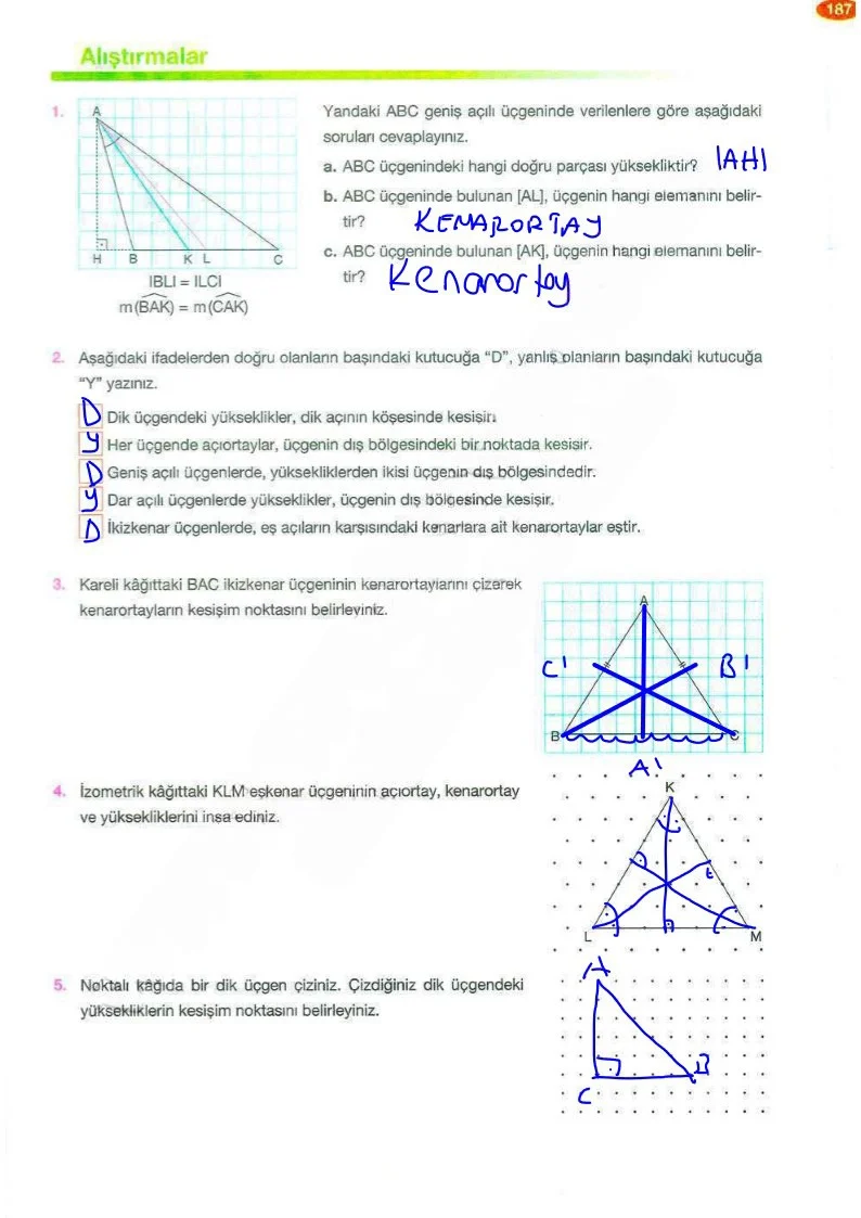 8. Sınıf Matematik Ders Kitabı Cevapları Berkay Yayınları Sayfa 187 Çözüm Görseli