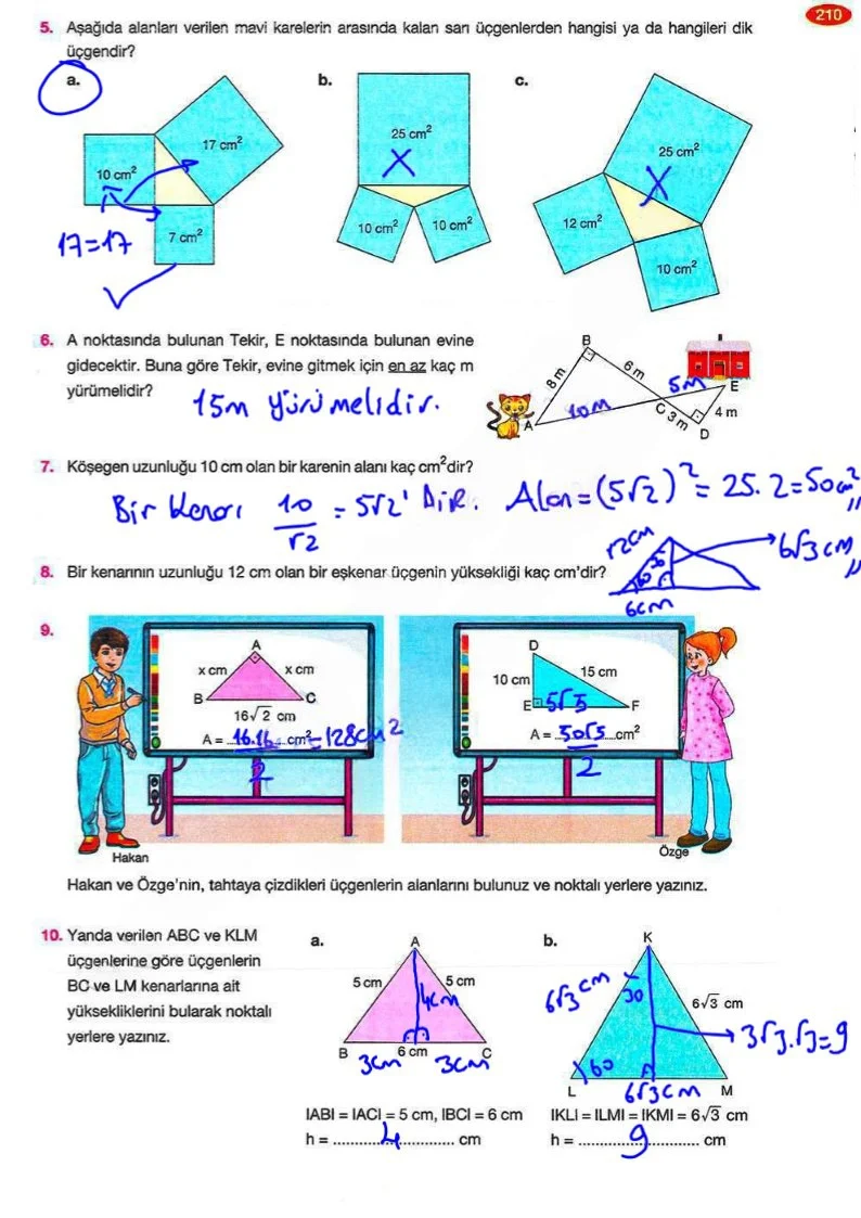 8. Sınıf Matematik Ders Kitabı Cevapları Berkay Yayınları Sayfa 210 Çözüm Görseli