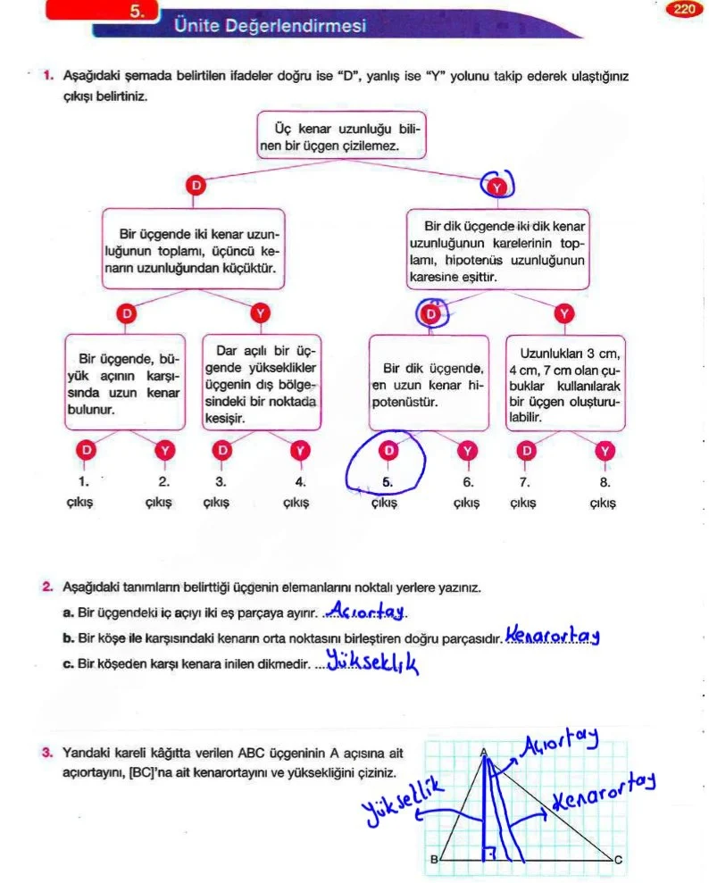 8. Sınıf Matematik Ders Kitabı Cevapları Berkay Yayınları Sayfa 220 Çözüm Görseli