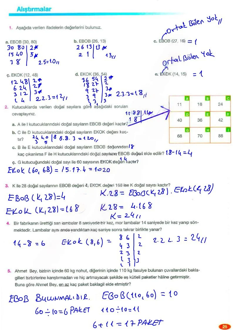 8. Sınıf Matematik Ders Kitabı Cevapları Berkay Yayınları Sayfa 25 Çözüm Görseli
