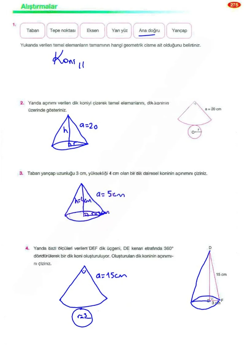 8. Sınıf Matematik Ders Kitabı Cevapları Berkay Yayınları Sayfa 275 Çözüm Görseli