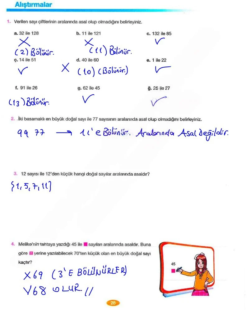 8. Sınıf Matematik Ders Kitabı Cevapları Berkay Yayınları Sayfa 28 Çözüm Görseli