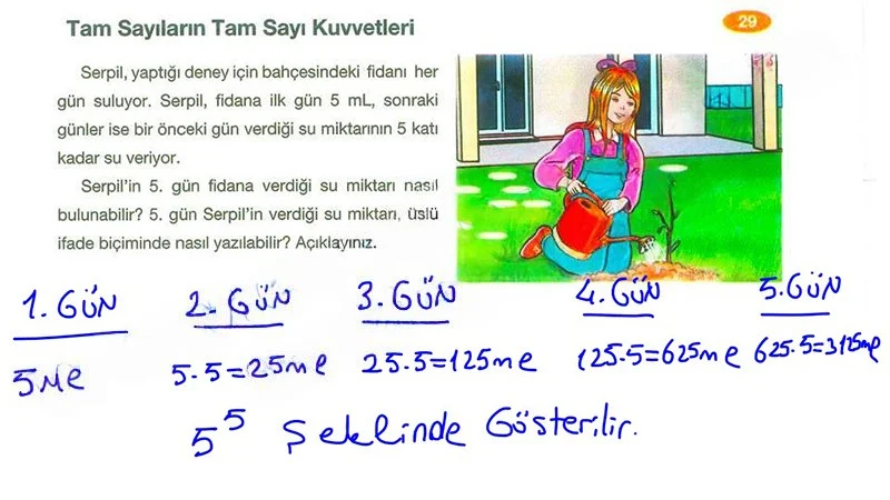 8. Sınıf Matematik Ders Kitabı Cevapları Berkay Yayınları Sayfa 29 Çözüm Görseli